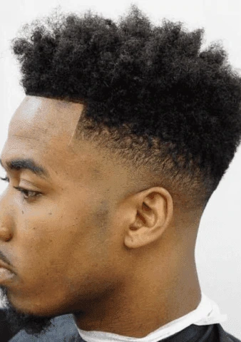 Curly High Top Fade Hair Cut