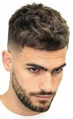 Textured-Crop-Cut