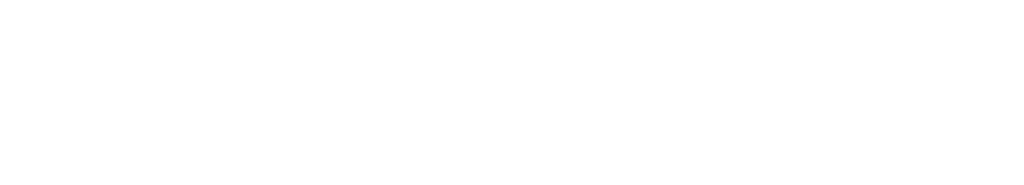 FEMINA FLAUNT LOGO