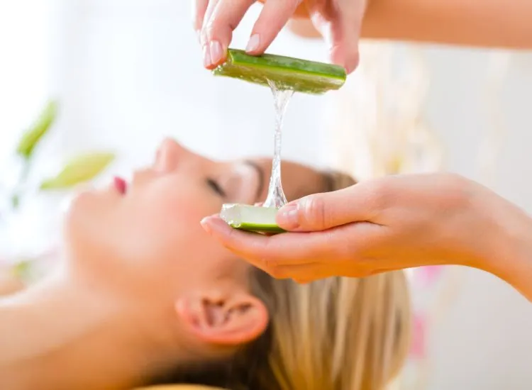 Aloe Vera 